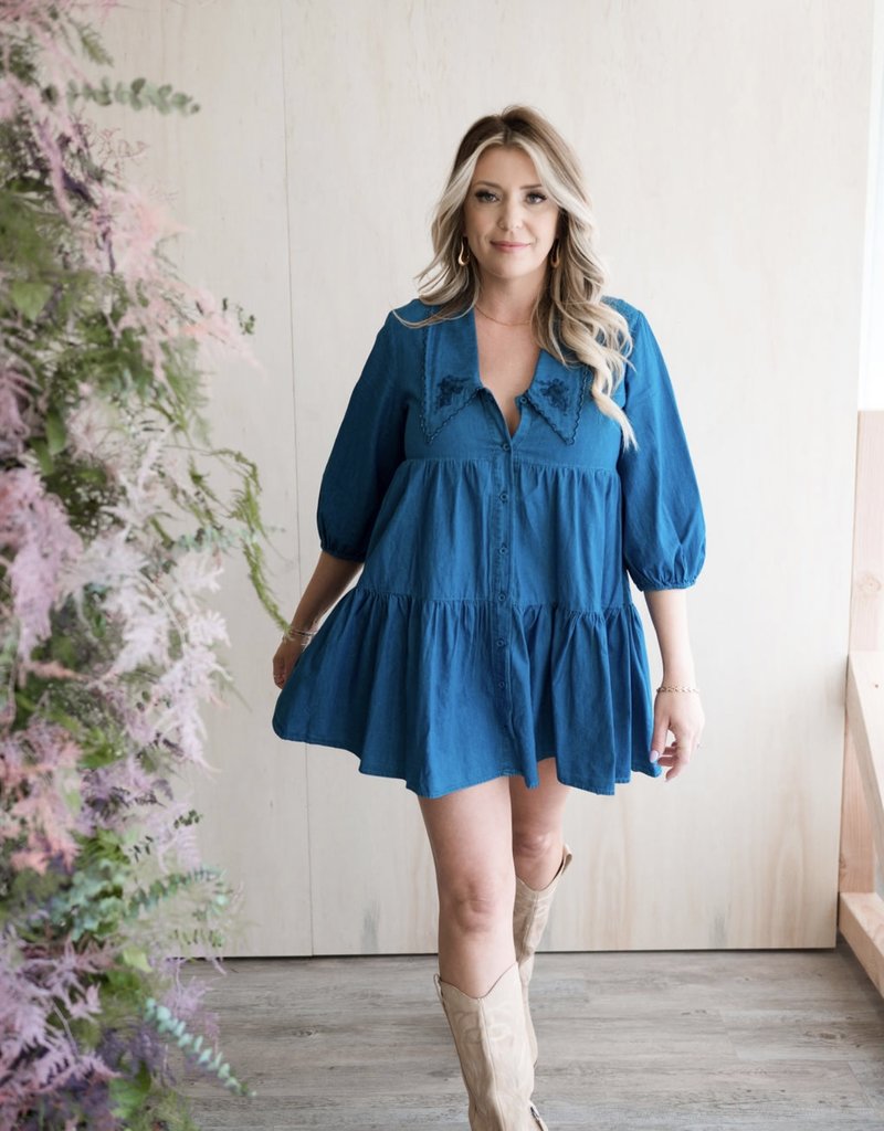 BB Dakota Chambray My Way Dress