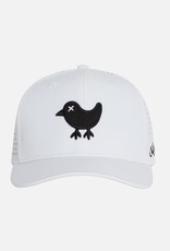 Bad Birdie Birdie Snapback