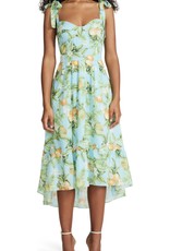 Steve Madden Citrus Dreams Dress