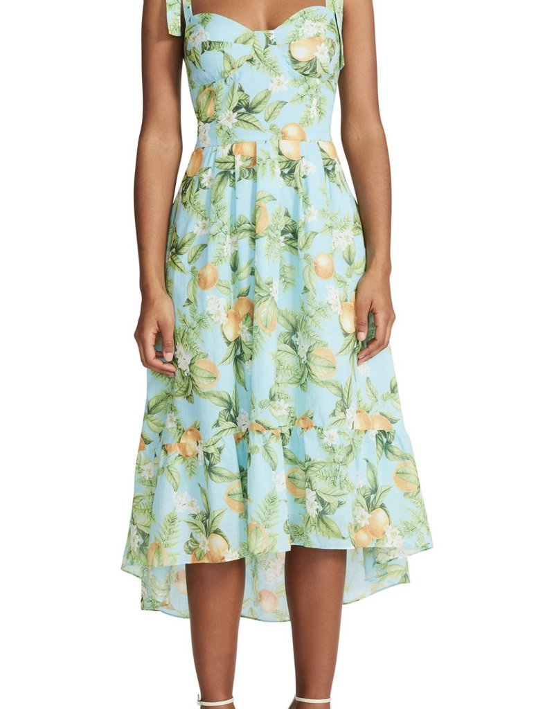 Steve Madden Citrus Dreams Dress
