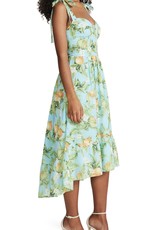 Steve Madden Citrus Dreams Dress