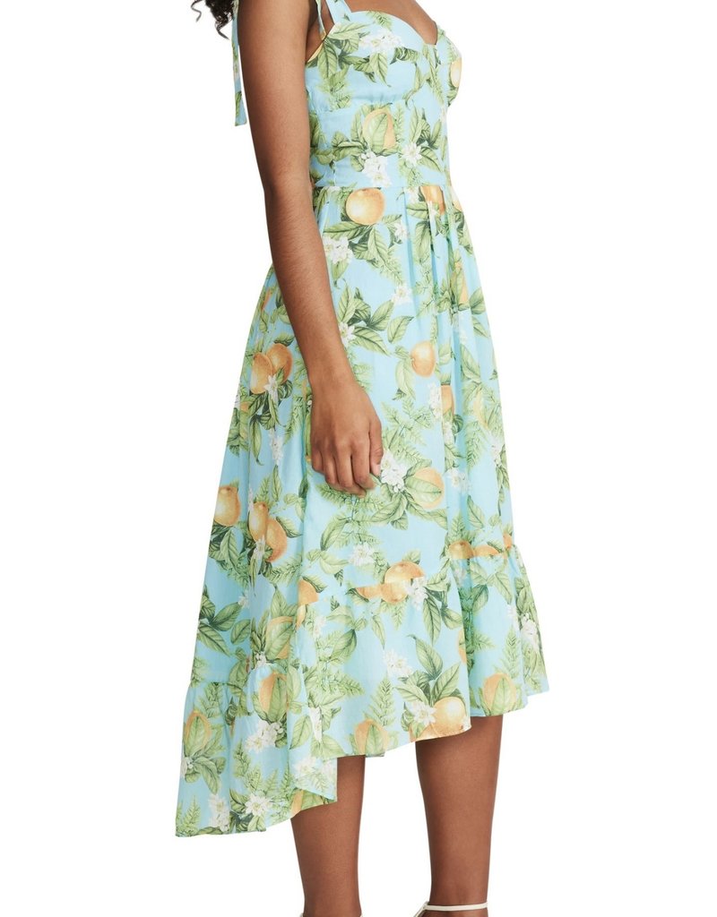 Steve Madden Citrus Dreams Dress