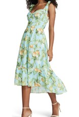 Steve Madden Citrus Dreams Dress