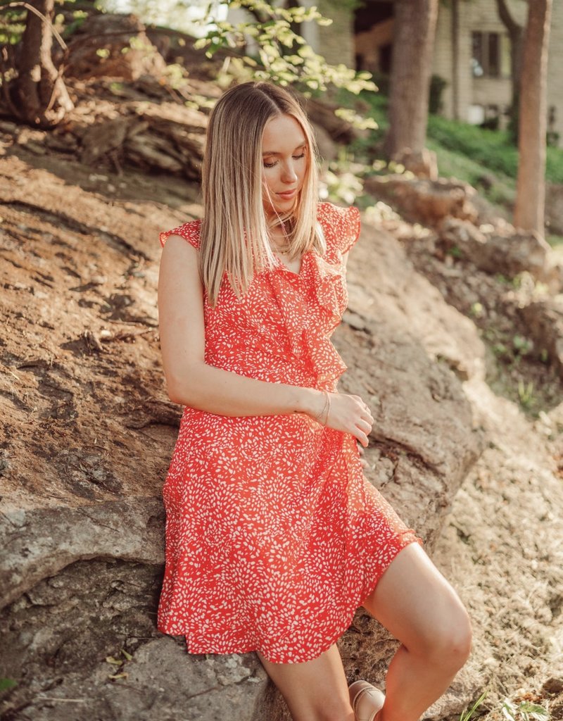 Fly Girl Mini Dress