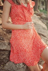 Fly Girl Mini Dress