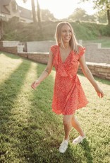 Fly Girl Mini Dress