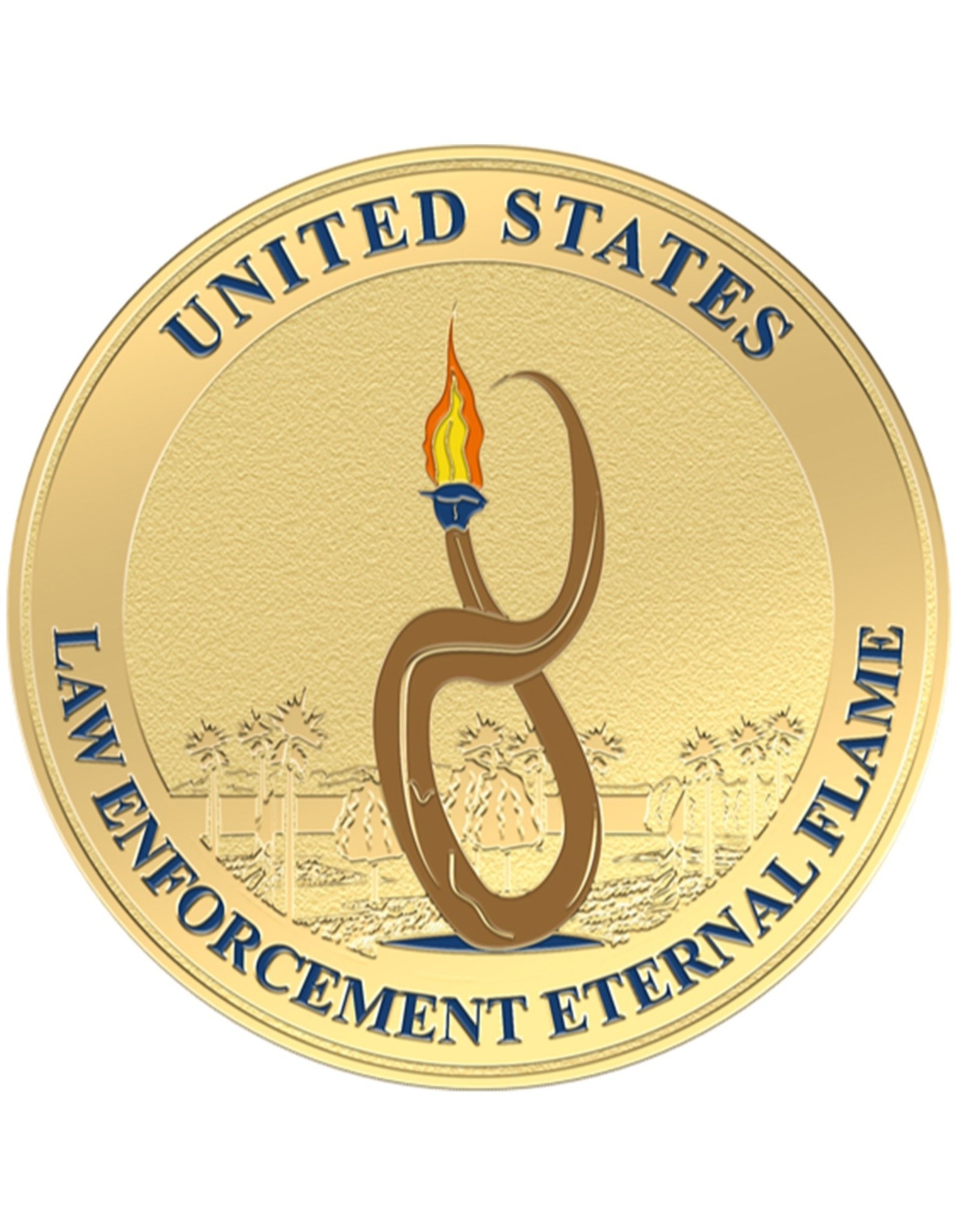LE Eternal Flame Challenge Coin