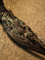 Nature's Spirit Select Starling Skins