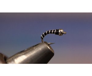 6pcs Epoxy Zebra Jelly Midge Fly Trout Nymph Midge Pupae Buzzer Larva Size  14