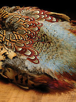 Nature's Spirit Ringneck Pheasant Skin