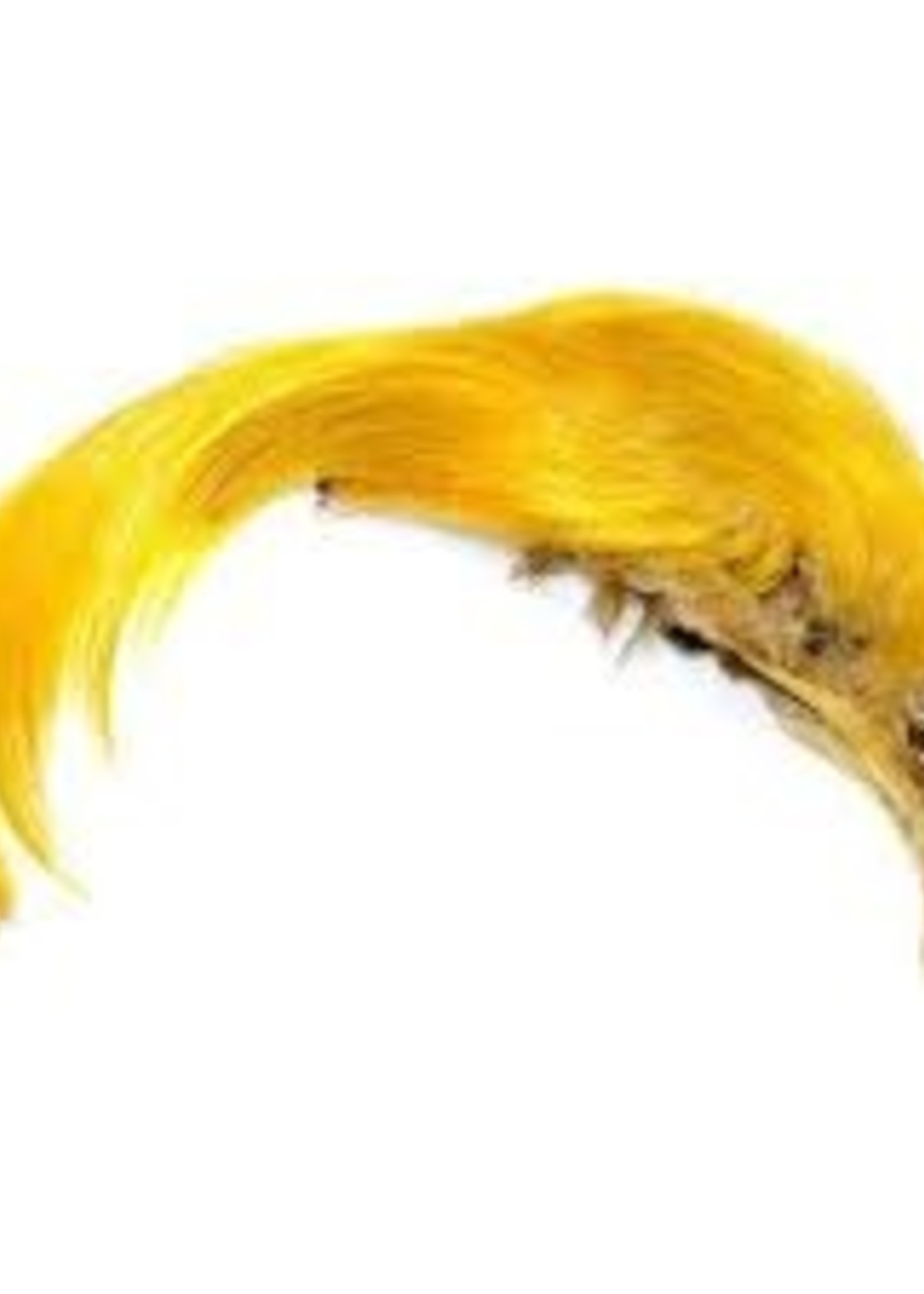 Nature's Spirit Golden Pheasant Crest