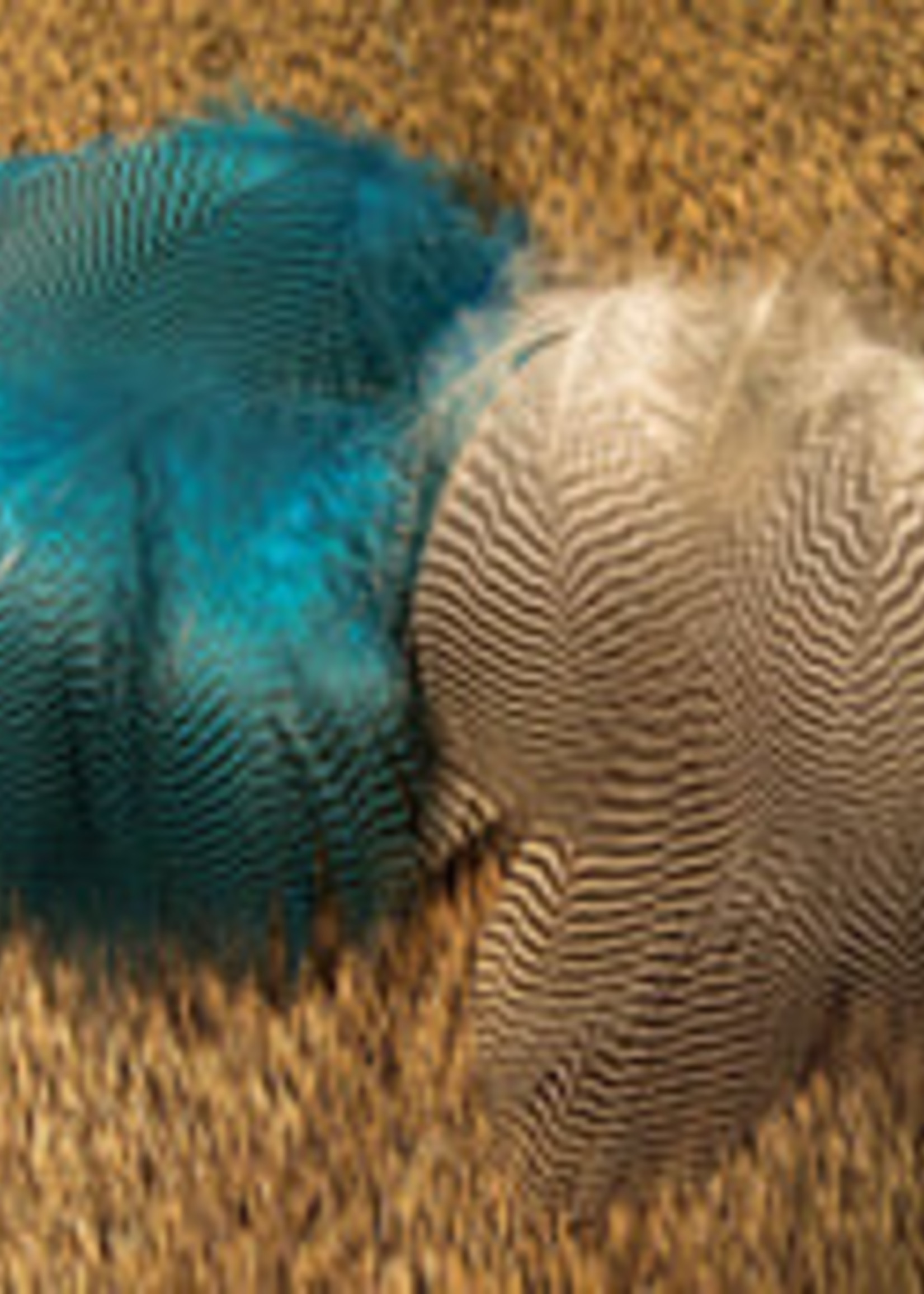 Nature's Spirit Teal Barred Flanks