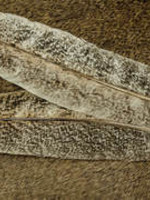 Nature's Spirit Ozark Barred Turkey Quills, Select, Natural