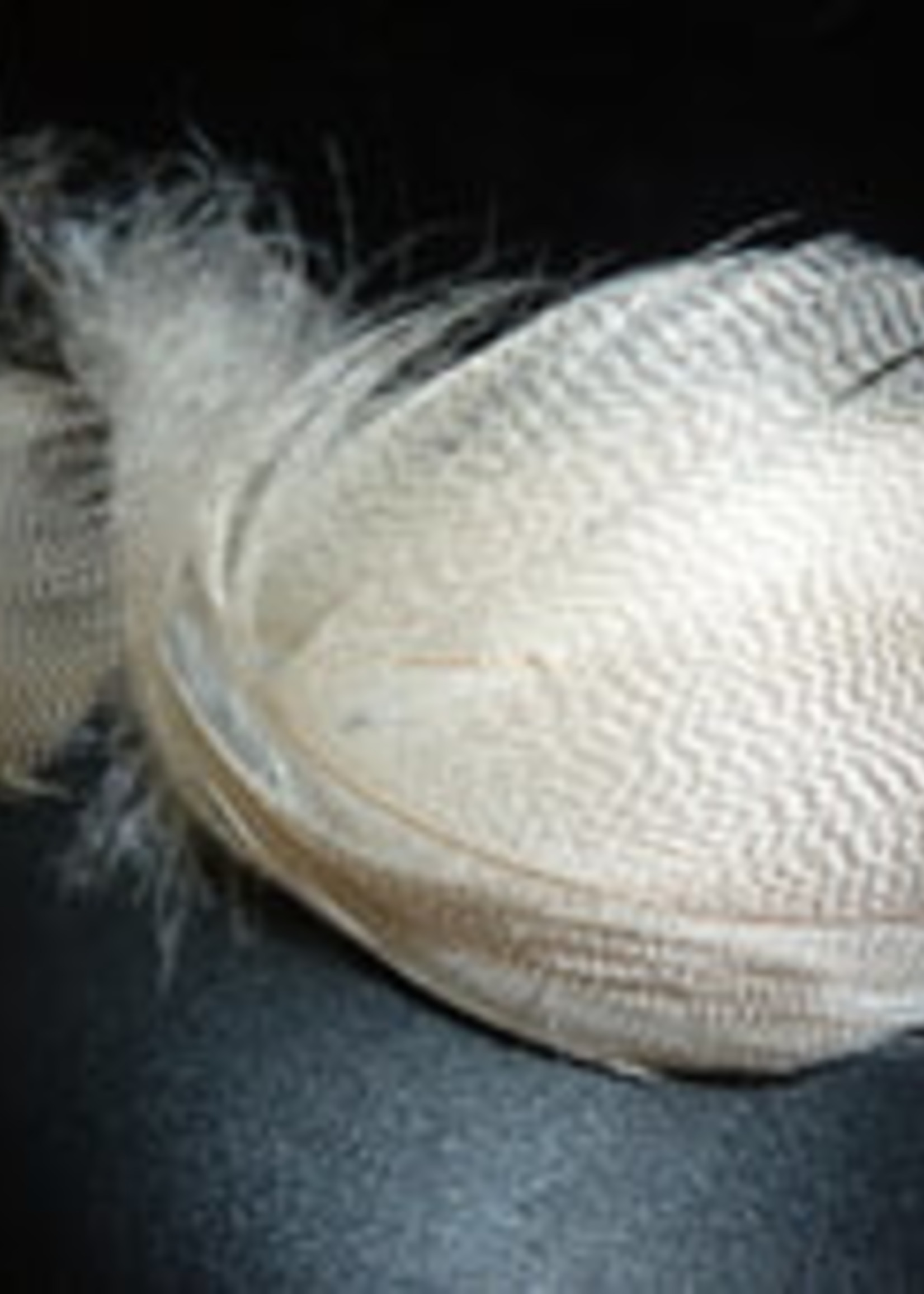 Nature's Spirit Mallard Flanks