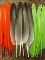 Nature's Spirit Duck Quills