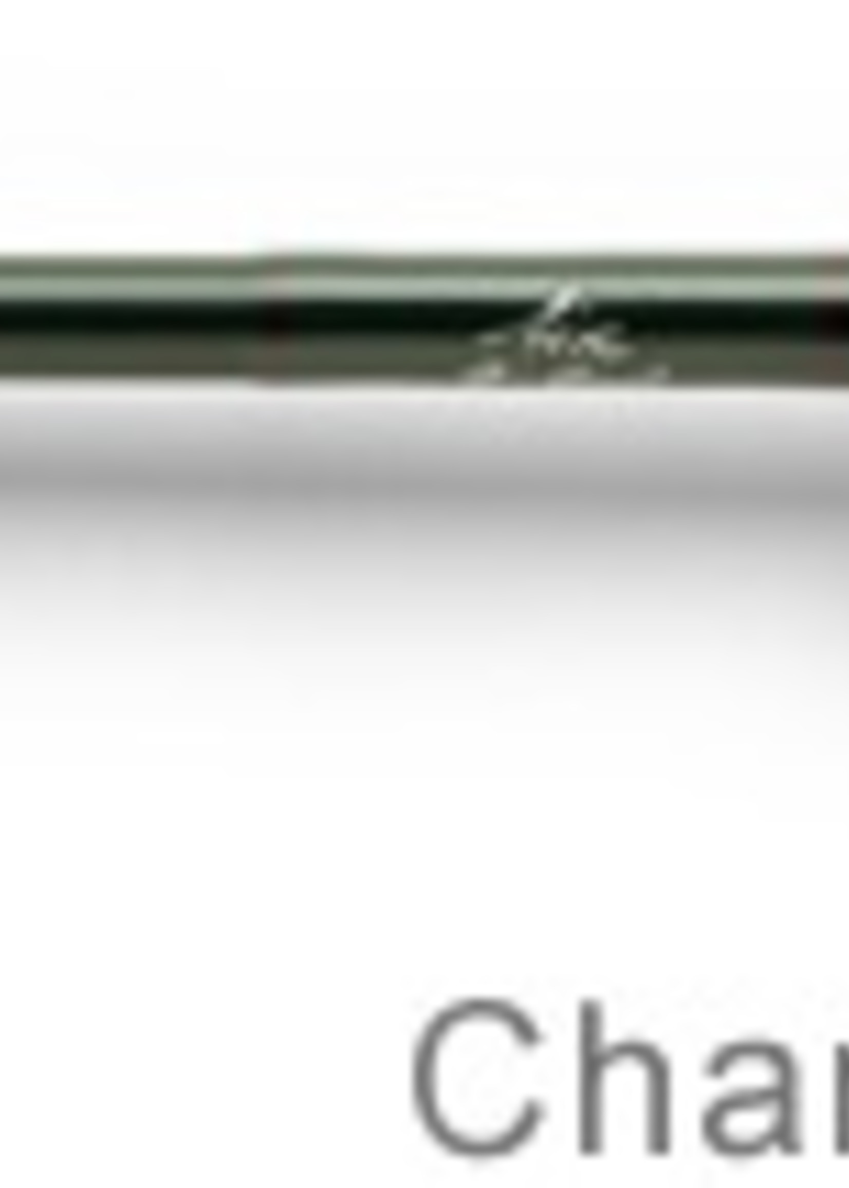 Winston Saltwater Air Rod 9' 10wt - Great Feathers