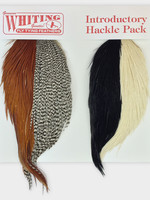 Whiting Farms Whiting Intro Dry Fly Hackle Pack