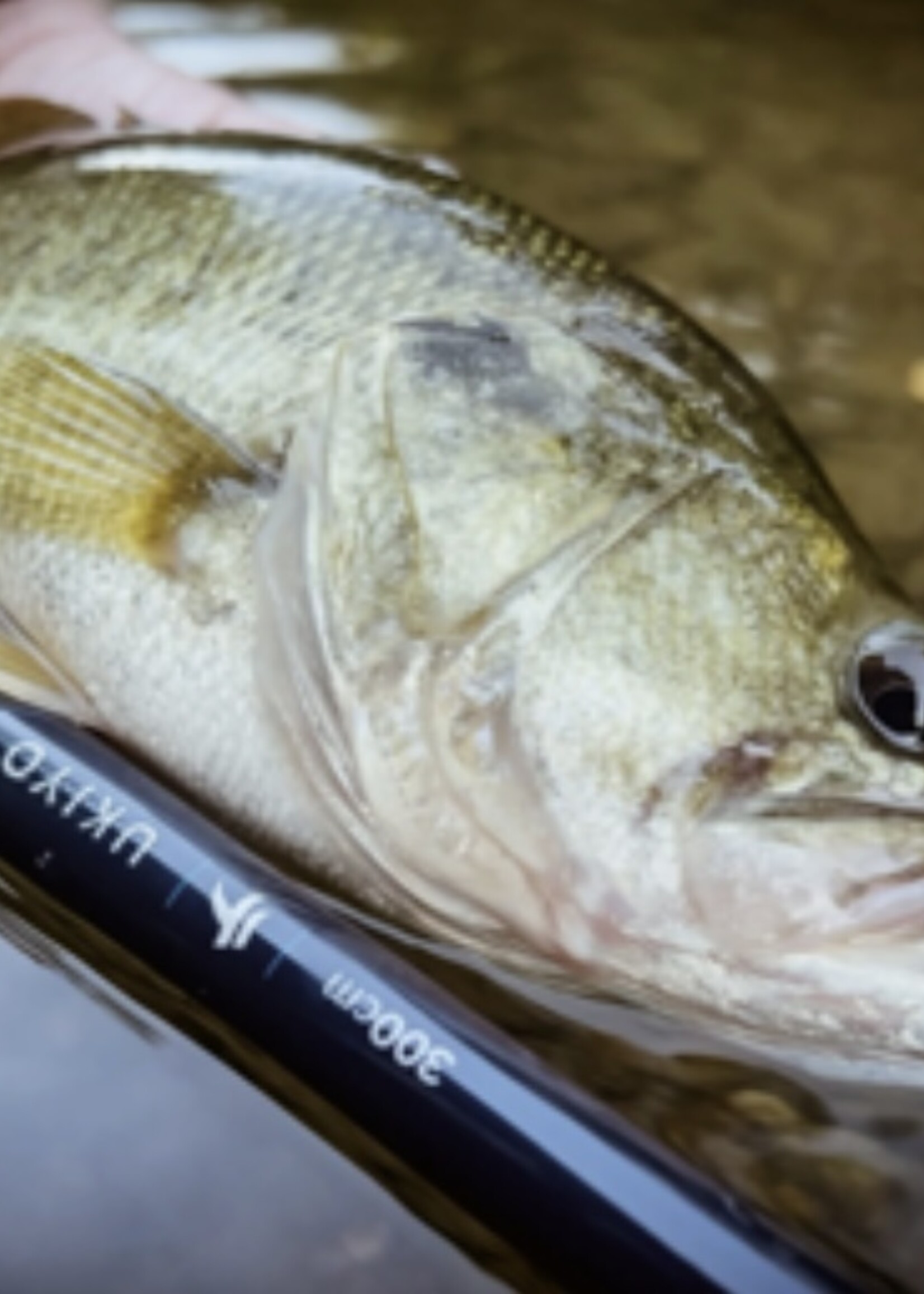 Tenkara USA Tenkara USA  Ukiyo Rod 9'10"