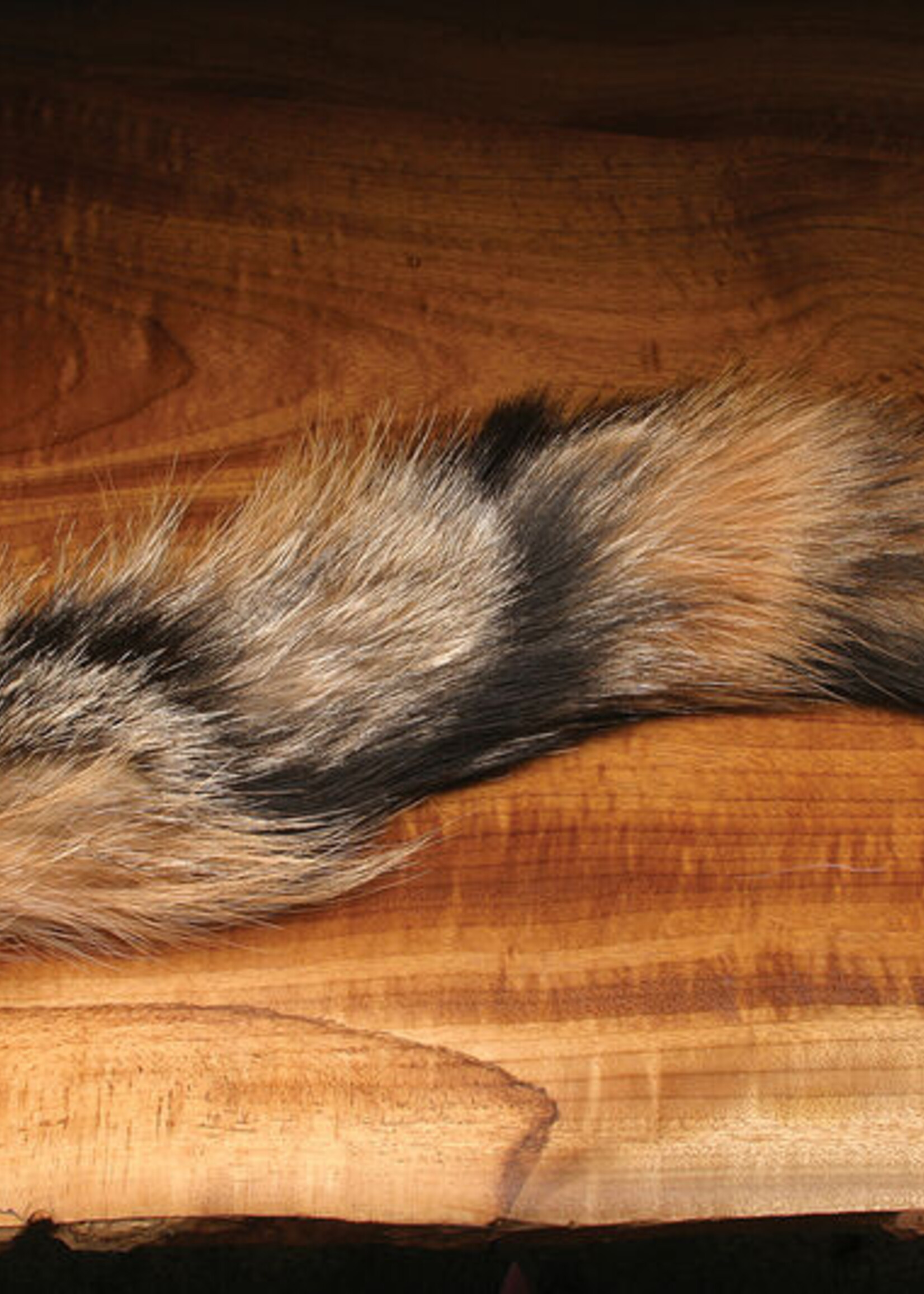 Hareline Dubbin Complete Coyote Tail