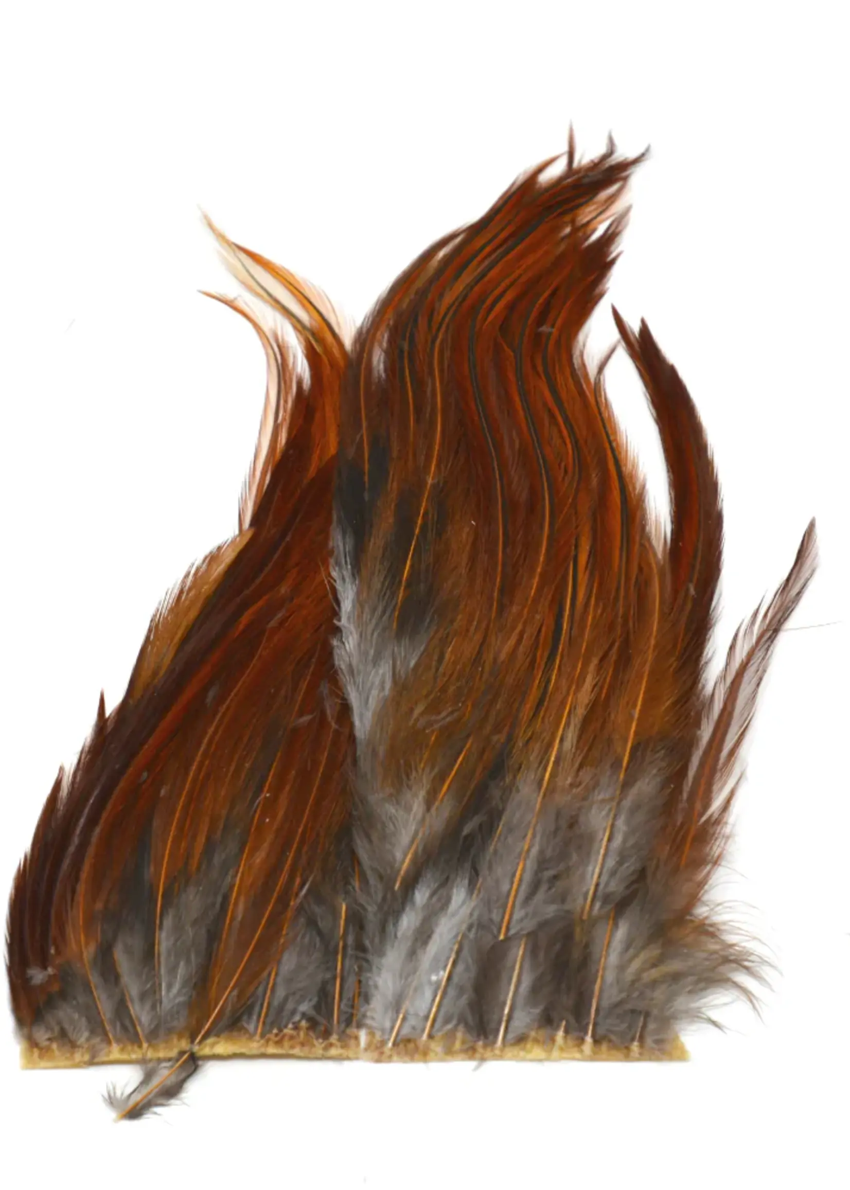 Hareline Dubbin Hareline Bugger Hackle Patches