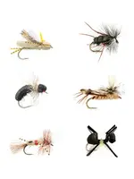 Fulling Mill Fulling Mill Terrestrial Selection