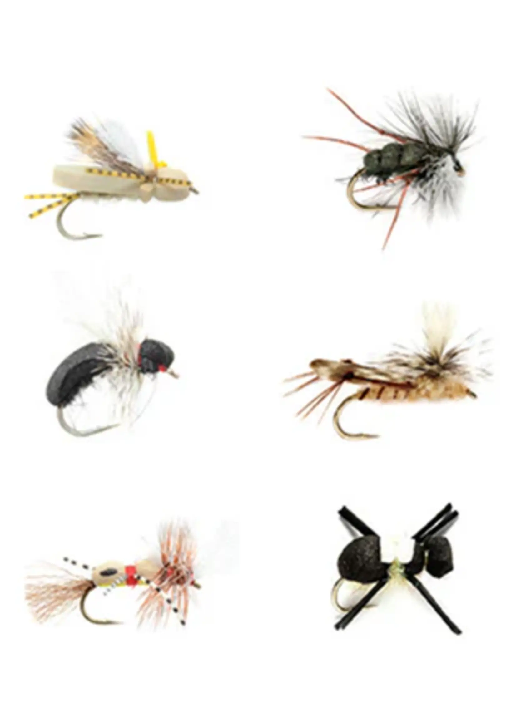 Fulling Mill Fulling Mill Terrestrial Selection