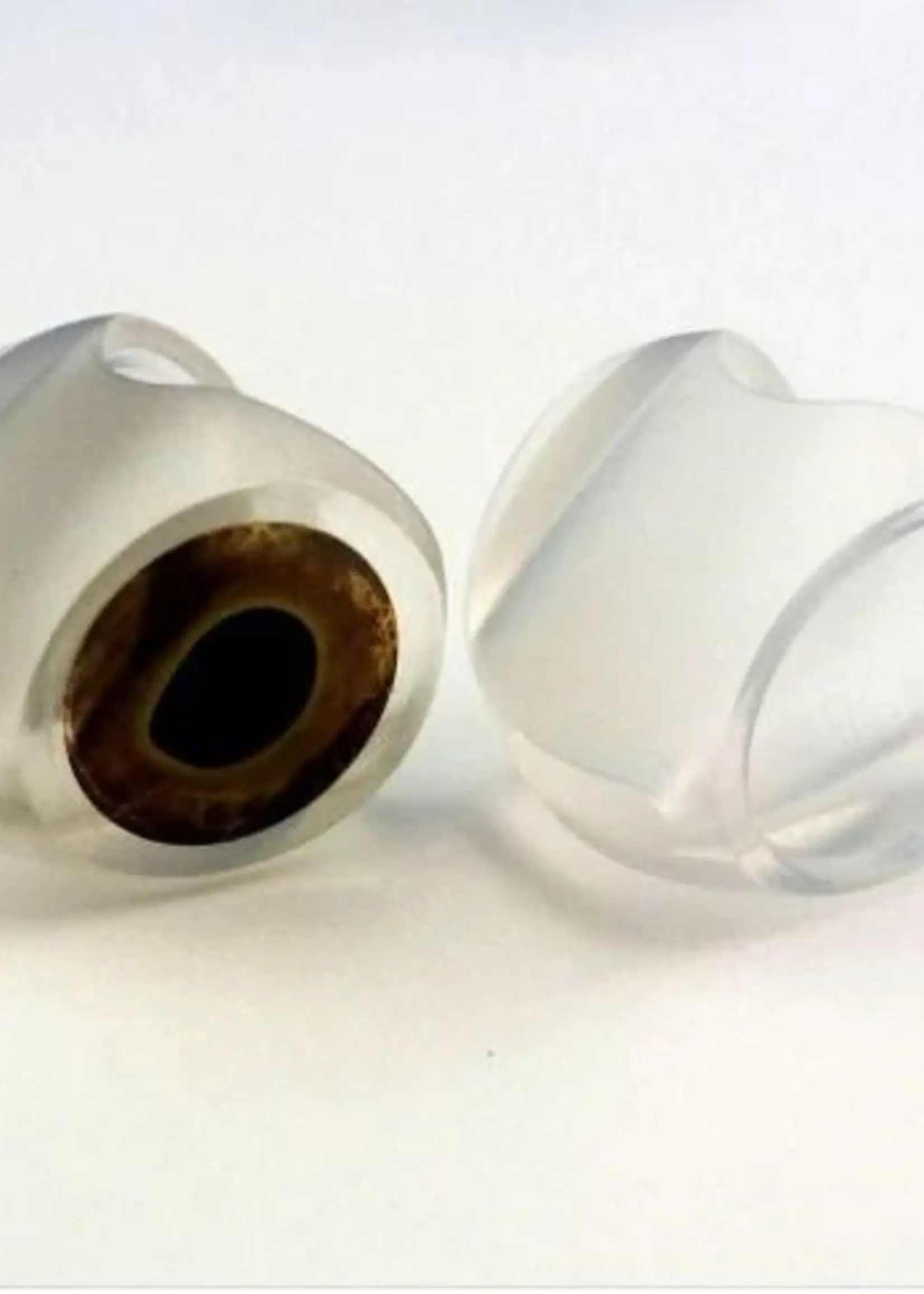 Fly Fish Food Fish-Skull Masked Minnow