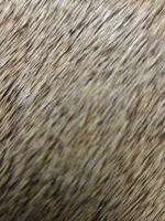 Nature's Spirit Select Cow Elk