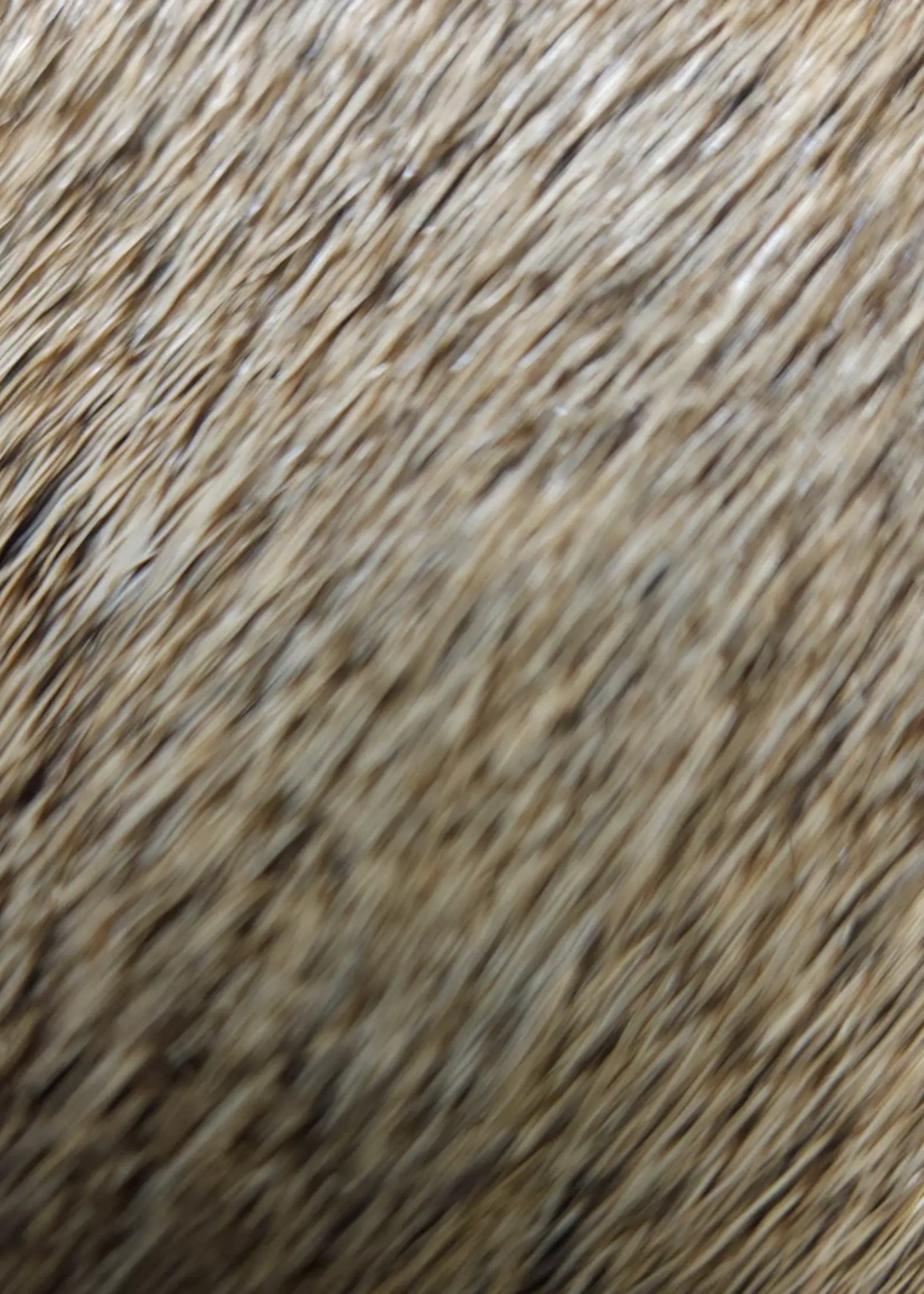 Nature's Spirit Select Cow Elk