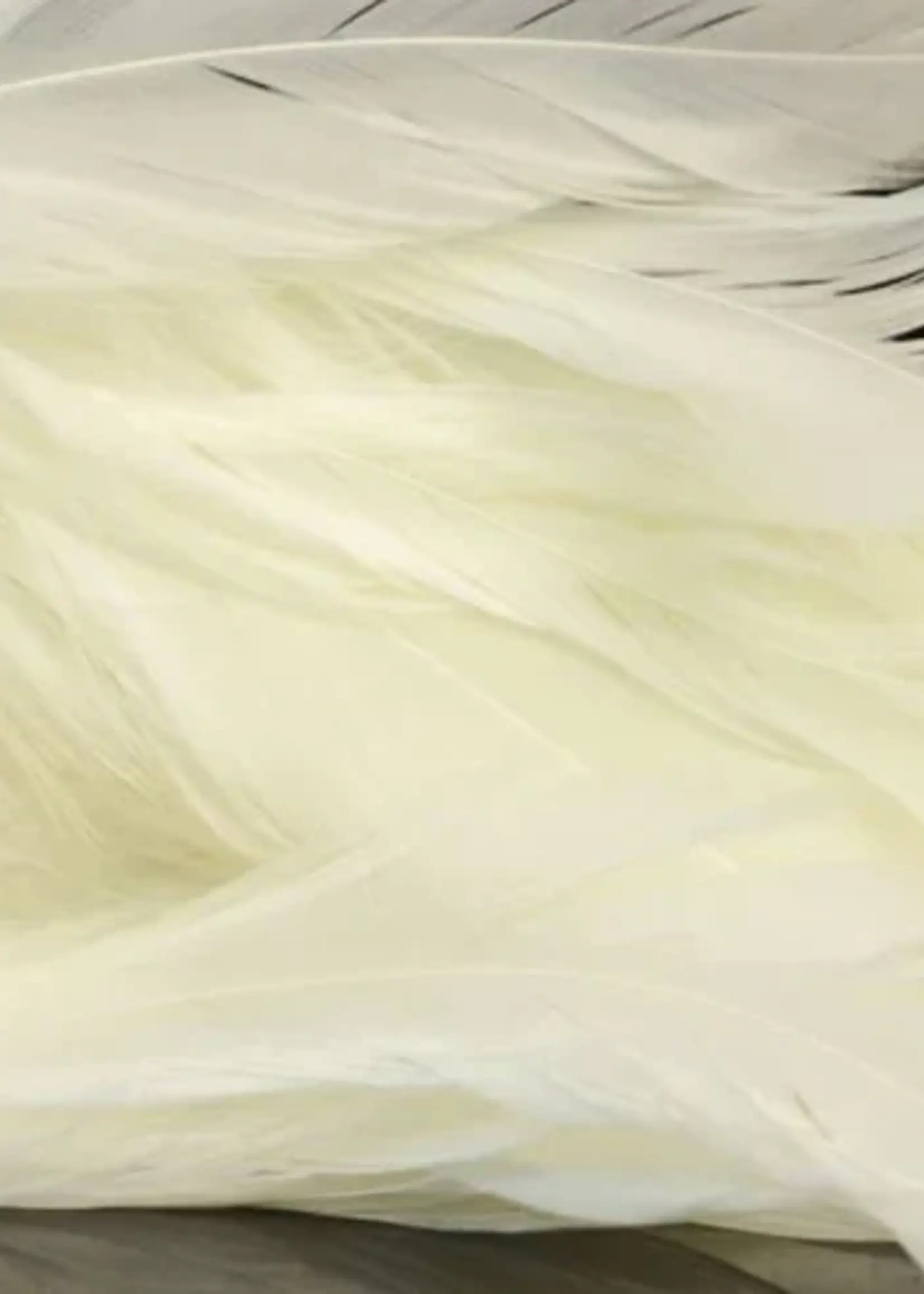 Nature's Spirit Fish Hunter Select Schlappen Bleached White