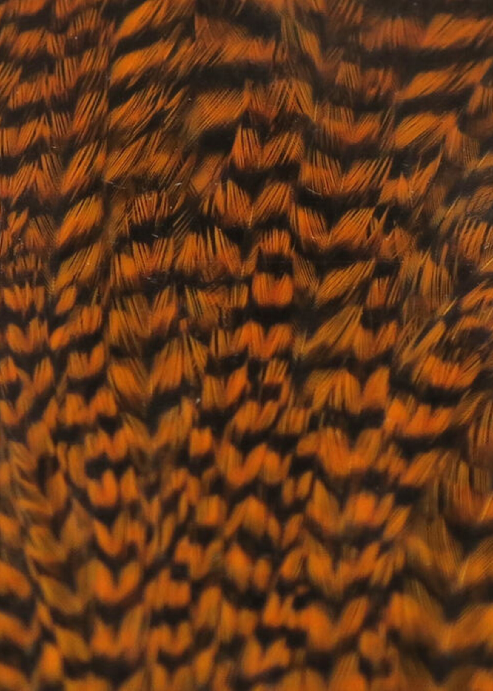 Hareline Dubbin Hareline Half Cape Grizzly Crawfish Orange