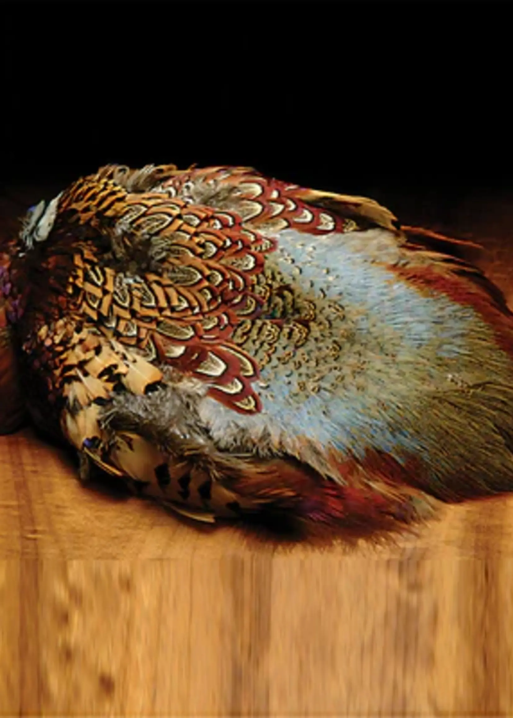 Hareline Dubbin Hareline Ringneck Pheasant Skin