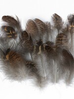 Veniard Grouse Body Plumage