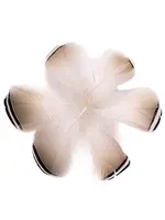 Nature's Spirit Black & White Tip Barred Wood Duck Flank