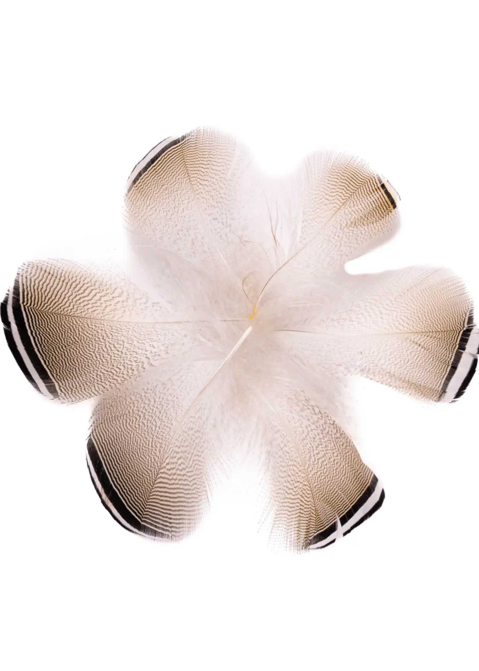 Nature's Spirit Black & White Tip Barred Wood Duck Flank