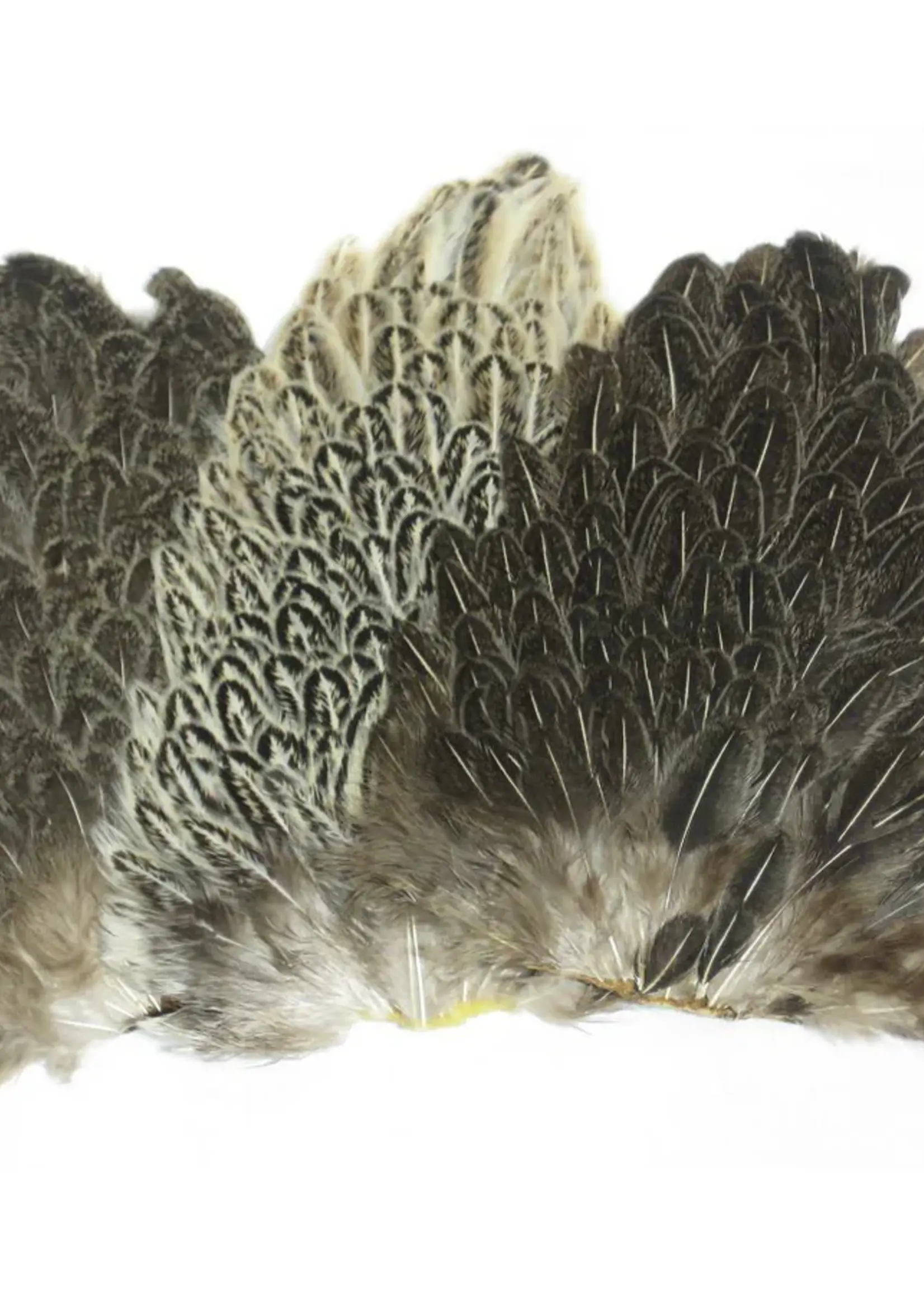 Wapsi Soft Hackle Hen Saddle Patch