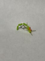 Rainy's Flies R2 Rainy's Fly