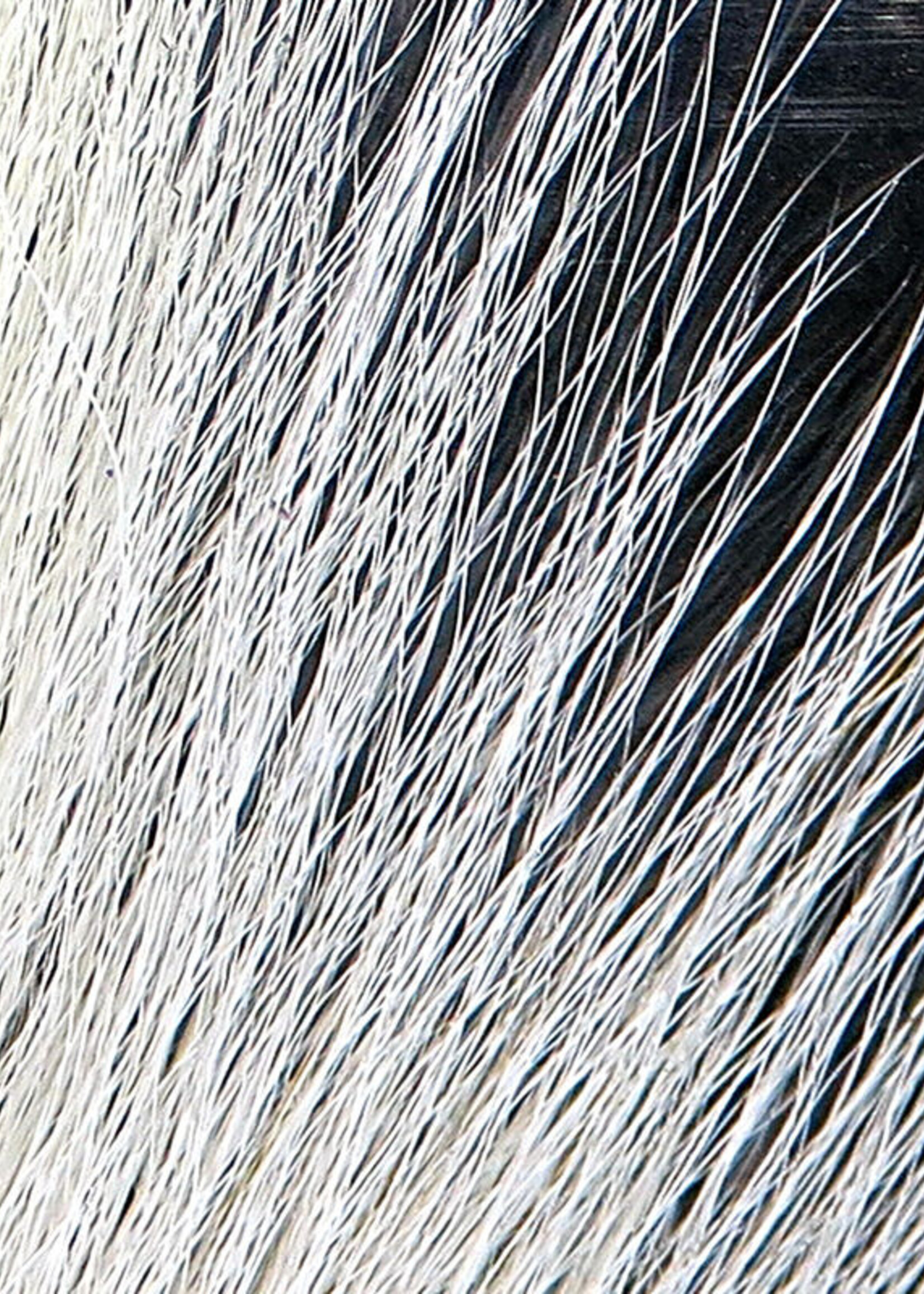 Hareline Dubbin Hareline Large Northern Bucktail White