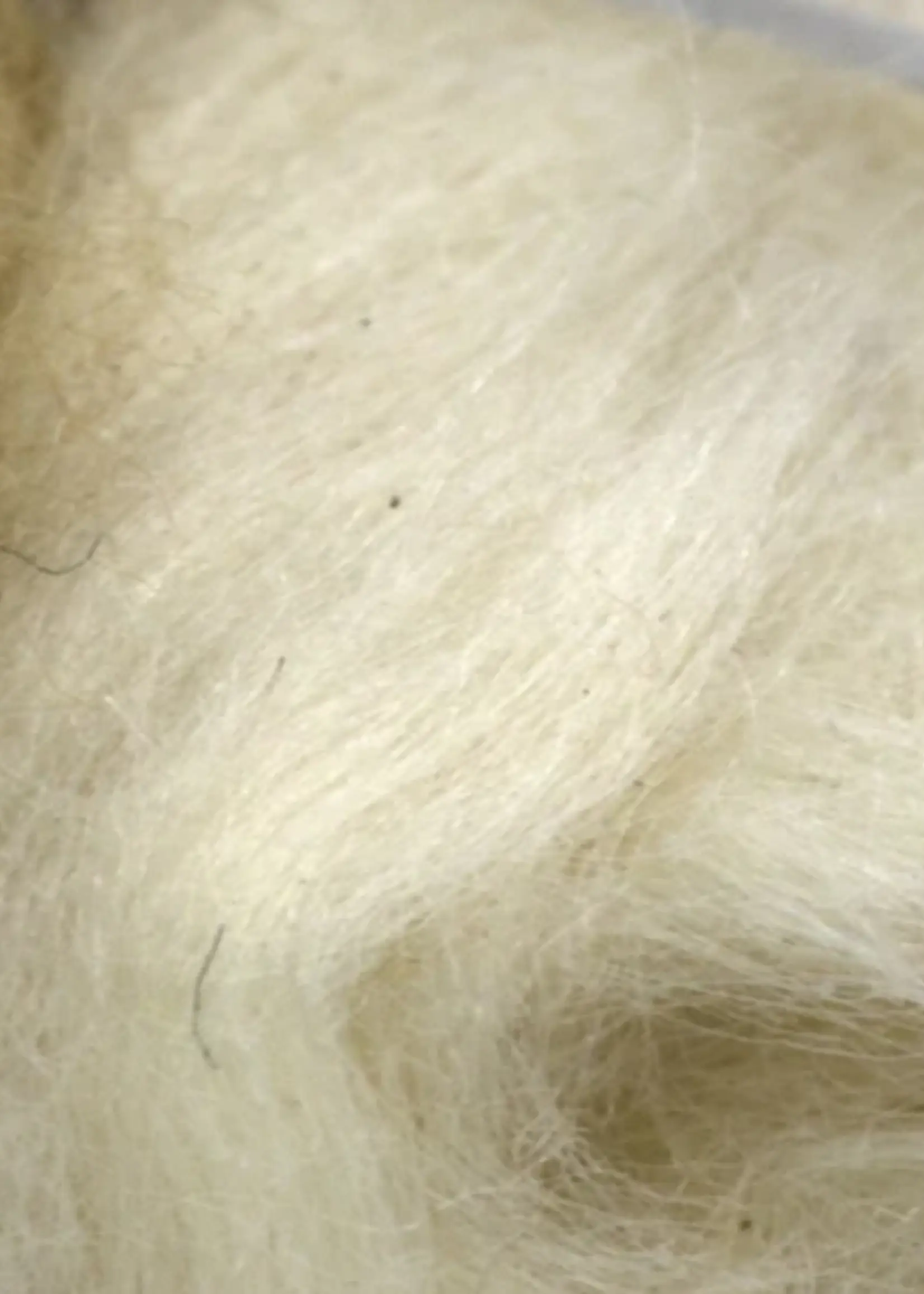 Semperfli Semperfli Kapok Dubbing Danica