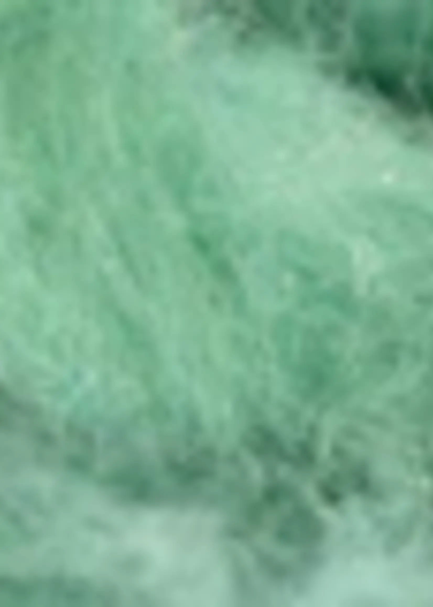 Semperfli Semperfli Kapok Dubbing Rhyac Green