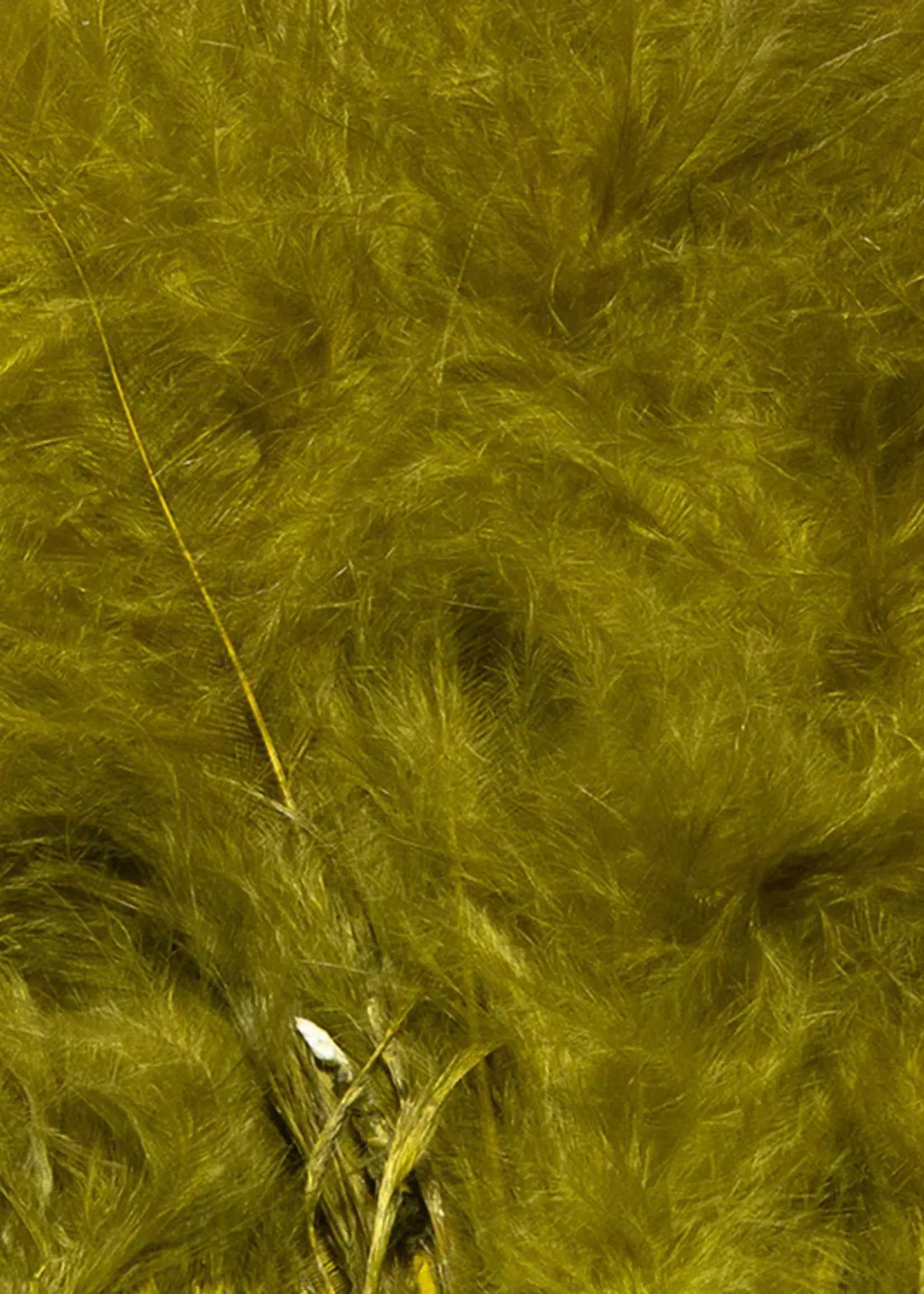 Hareline Dubbin Hareline X-Select Marabou Olive