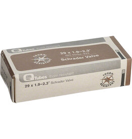 Tube 29X1.9/2.125 Thorn Resistant  schrader