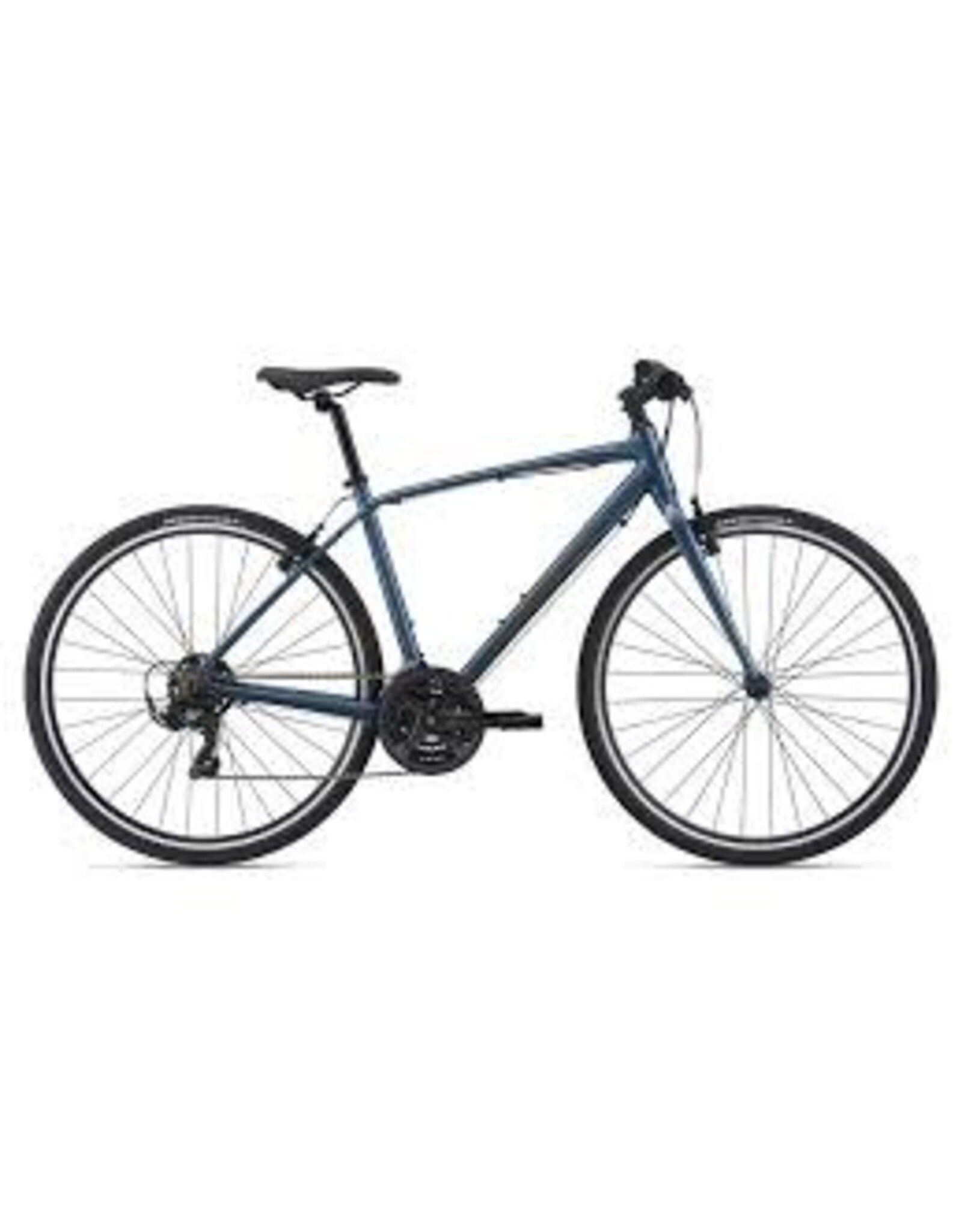 GIANT Giant Escape 3- Large, Blue Ash