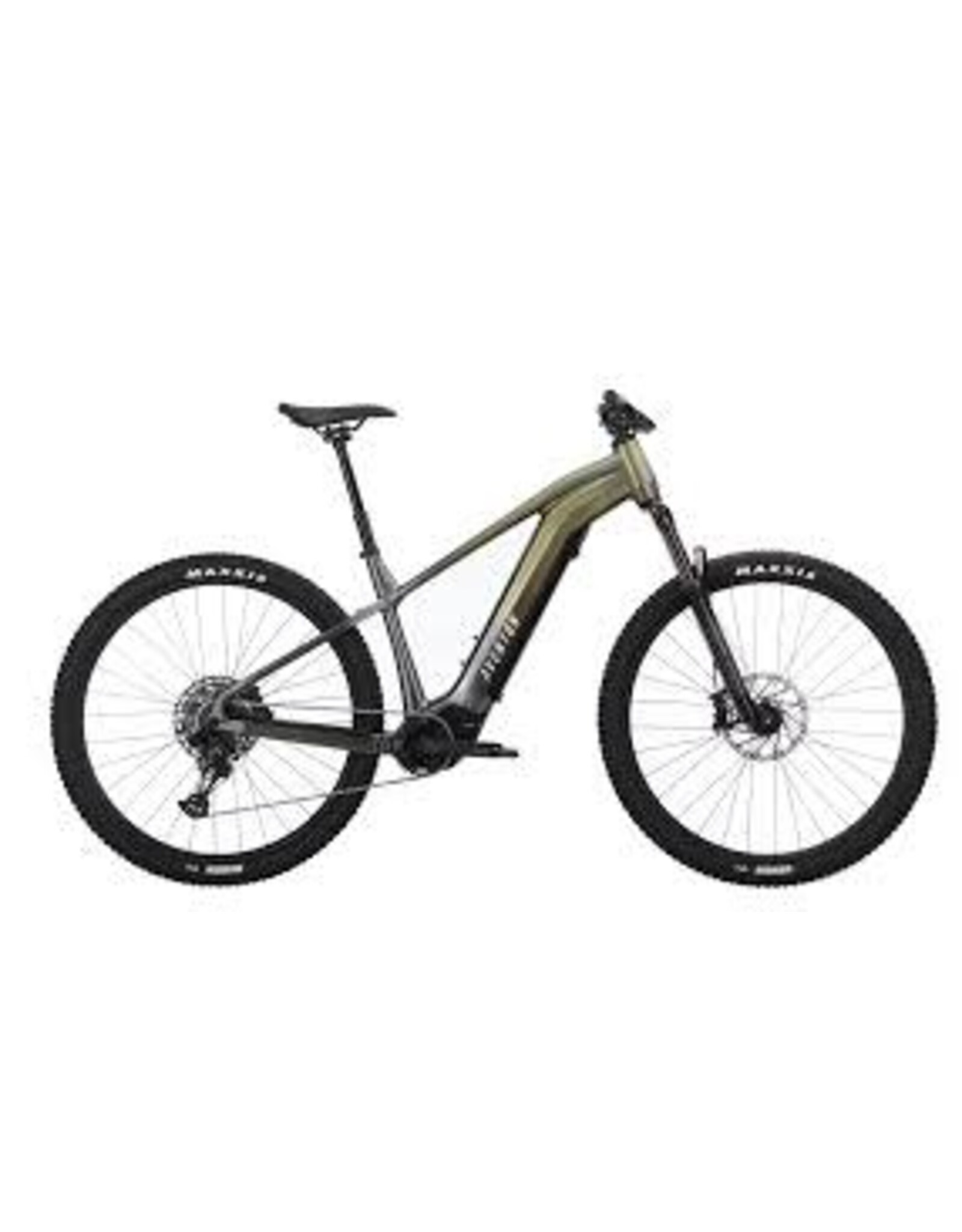 Aventon Ramblas, M- Borealis