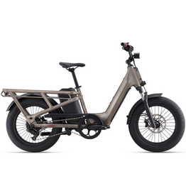 Momentum Momentum Cito E+ Metal