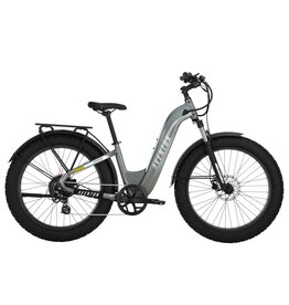 Aventon Aventon Aventure.2 Step Thru, R- Slate