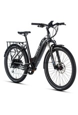 Aventon Aventon Level Step Thru, S/M- Earth Grey