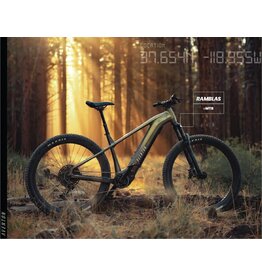 Aventon Ramblas, L- Borealis