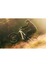 Aventon Aventon Current EXP, L- Glacier Mint