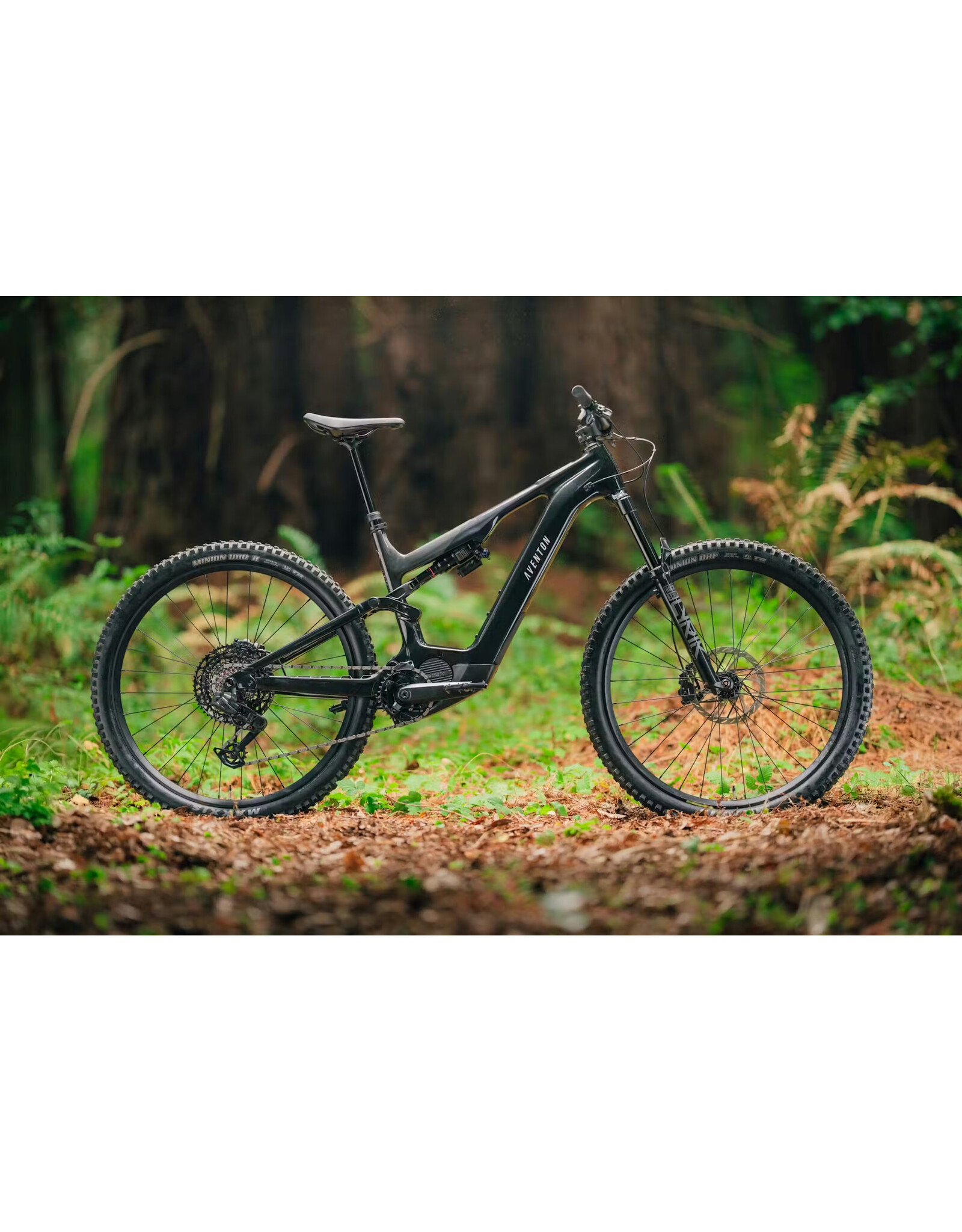 Aventon Aventon Current EXP, S- Glacier Mint